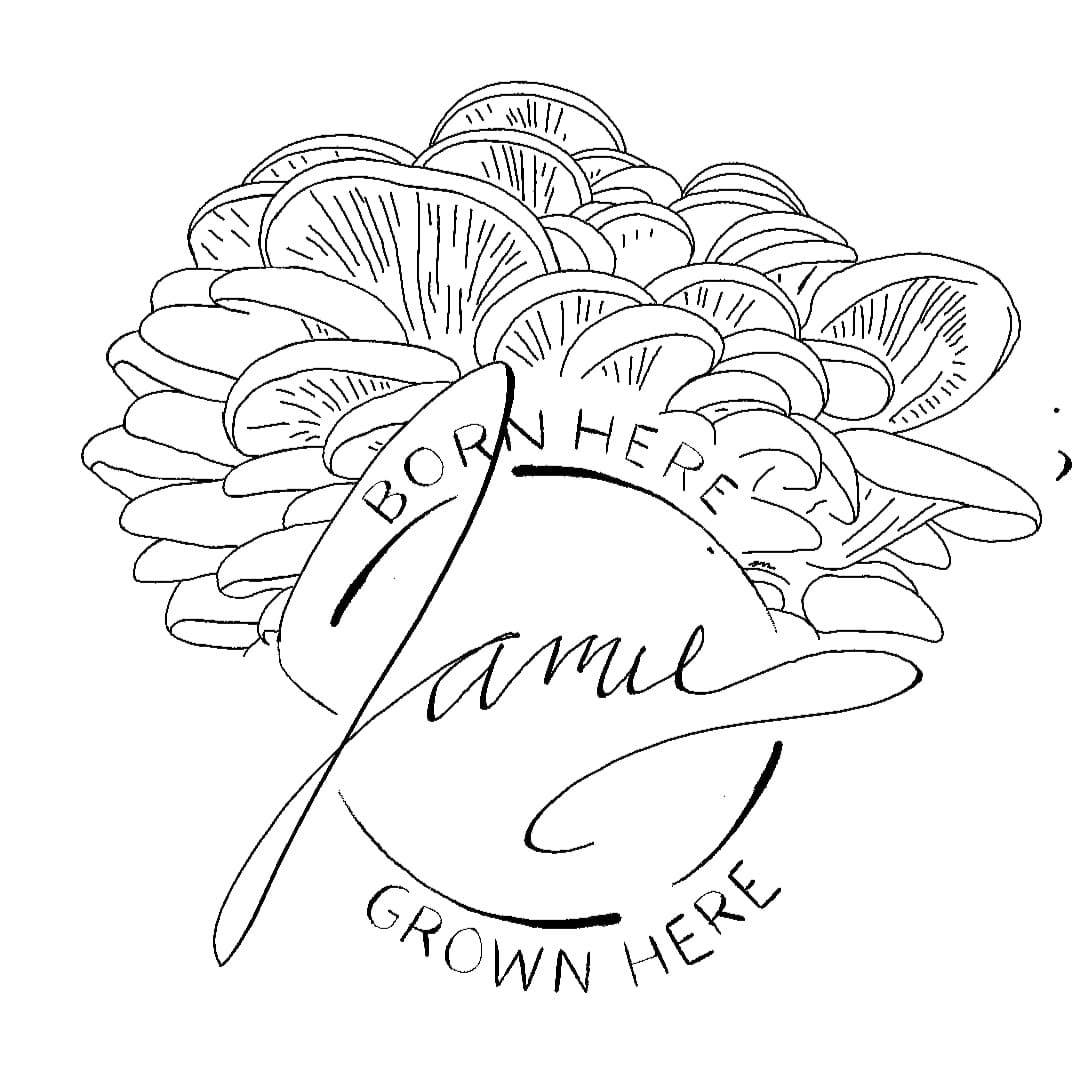 Jamie's Mushroom Farm