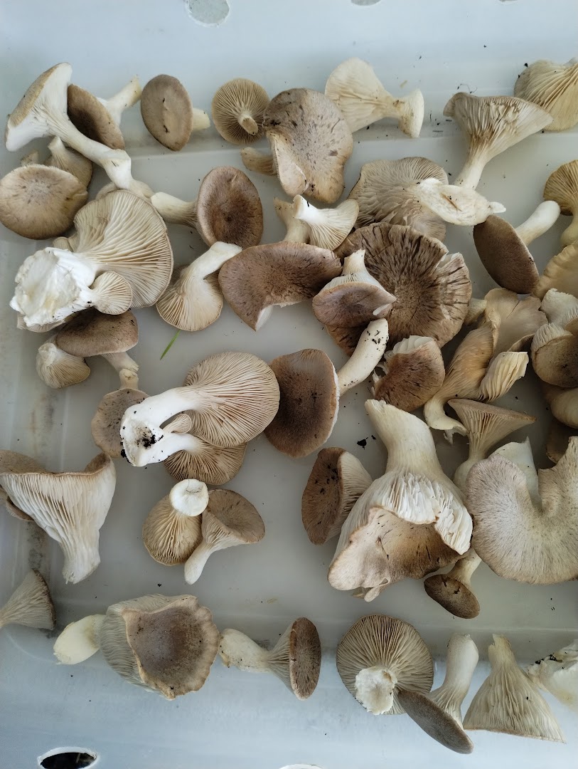 Late For Being&nbsp;Early